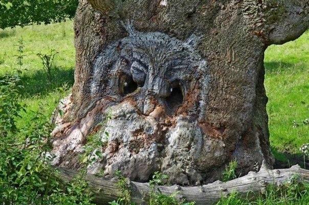 Искусство камуфляжа