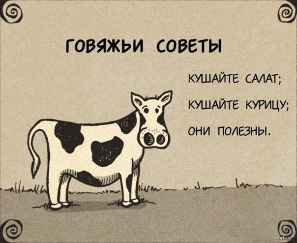 Говяжьи советы