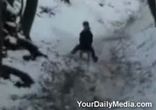 із санок в дерево
