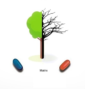 Алкоголь и наркотики на примере дерева