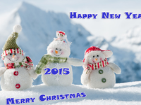 Няшного Нового года и Рождества 2015