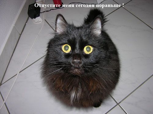 Комикс про пятницу