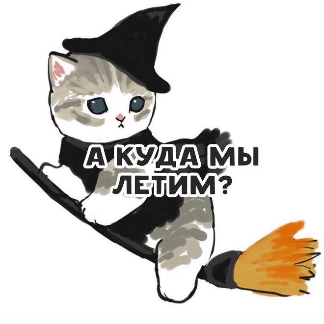 Хэллоуин и коты