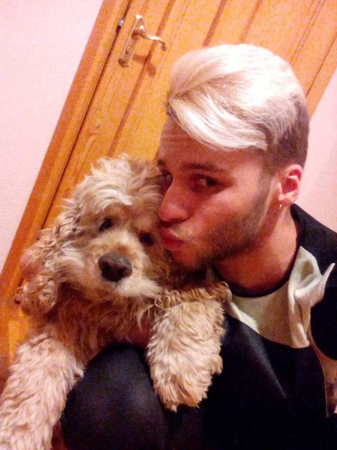 звездные питомцы