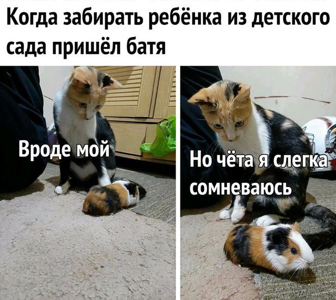 Десткий сад и отец