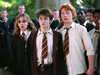 Фанатские теории о Гарри Поттере
