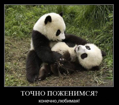 Юморные демотиваторы