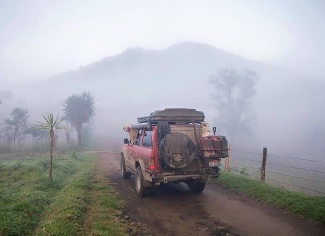 Невероятные приключения собаки-путешественницы Мэдди по Америке