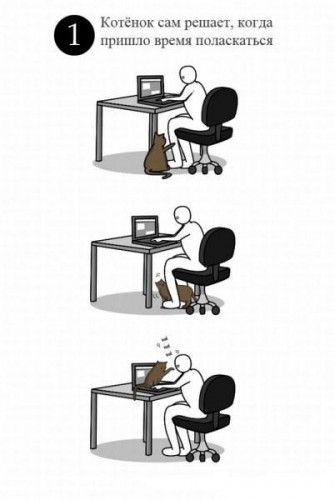 Как ласкать котенка