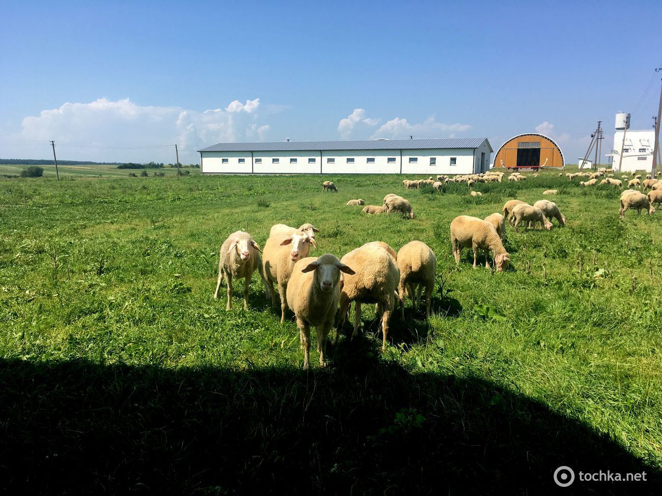 Мерінос_Захід