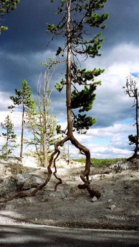 Самые необычные места планеты