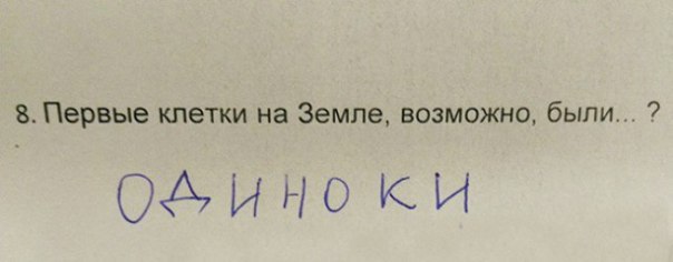 Перлы от школьников