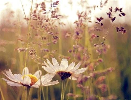 В память о лете