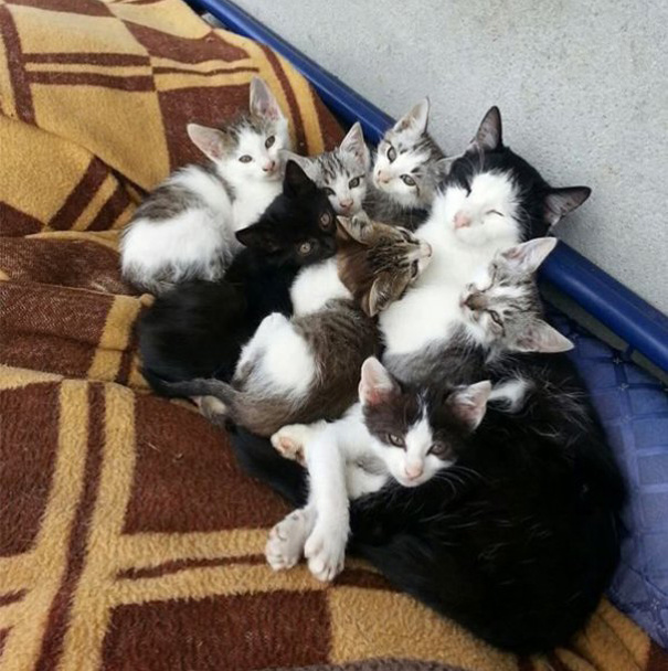 Уставшие мамочки