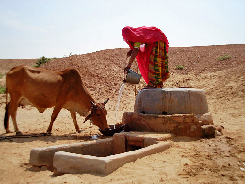 Кінотуризм: Поїзд на Дарджилінг