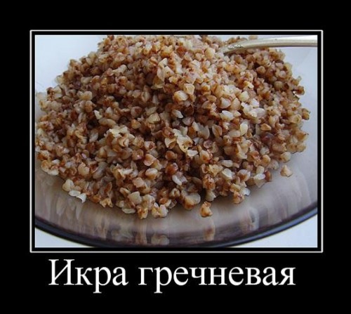 Прикольные демотиваторы