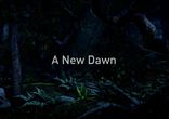 "A New Dawn" DirectX 11 Demo