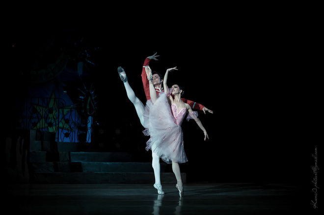 Александр Стоянов