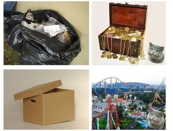 Кот & человек