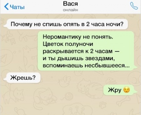 Смешные переписки с девушками