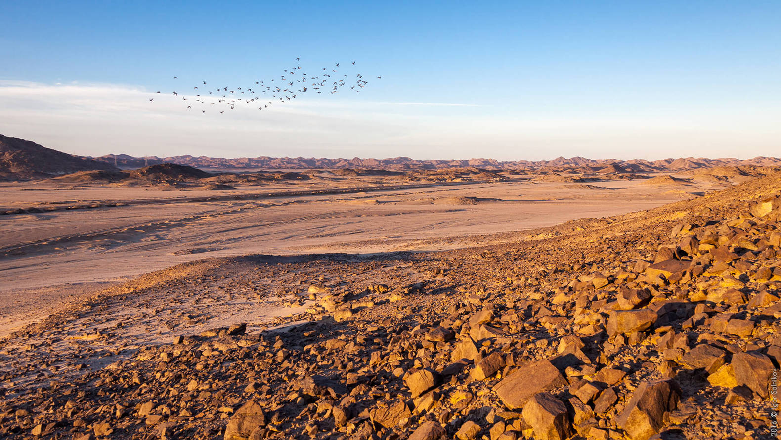 Єгипет, пустеля