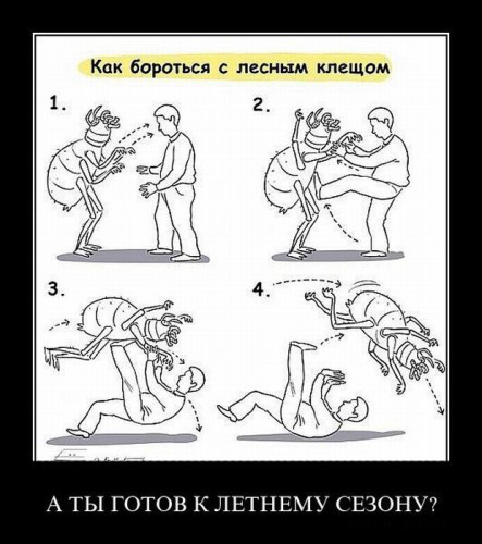 Демотиваторы