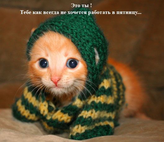 Комикс про пятницу