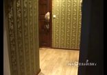 Миллион причин любить котов