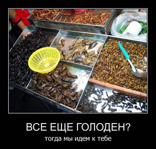Смешные демотиваторы