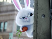 Тайная жизнь домашних животных HD. кролик Снежок