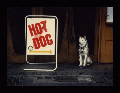 Подборка фотоприколов