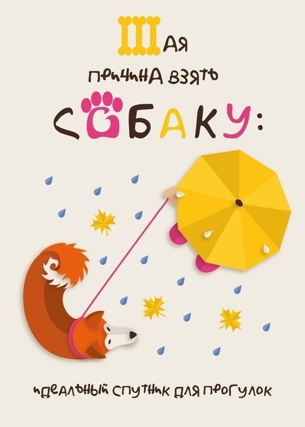 7 причин завести собаку!