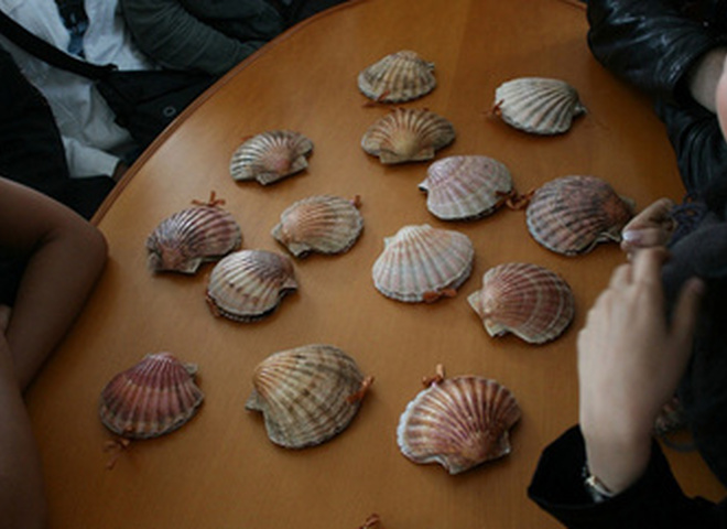 На «Новой волне» прошла жеребьевка 