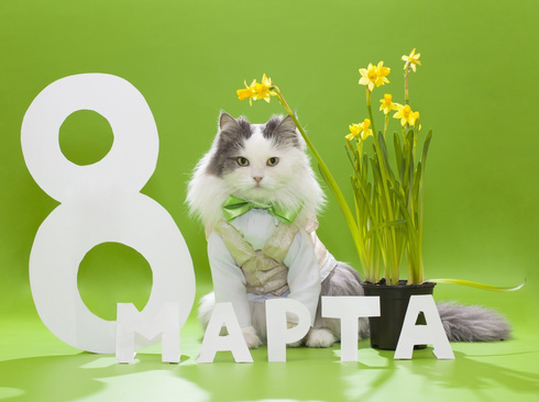 Няшного 8 марта
