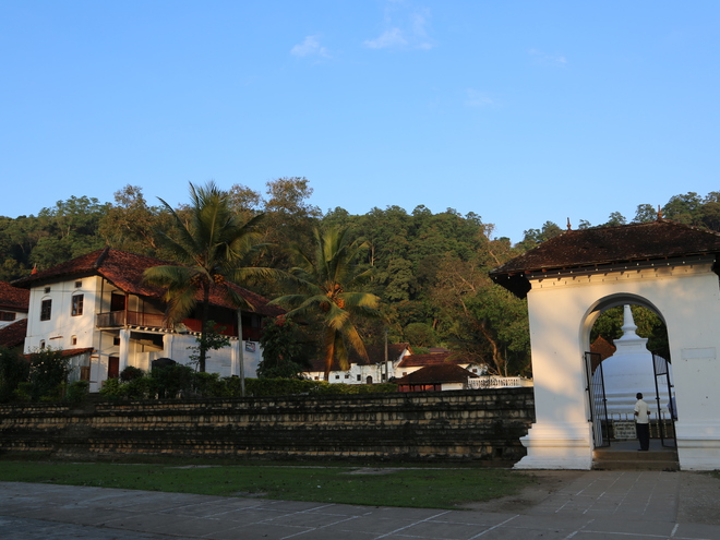 Дмитрий Каднай о Шри-Ланке: все, что вы не прочитаете в путеводителе об острове