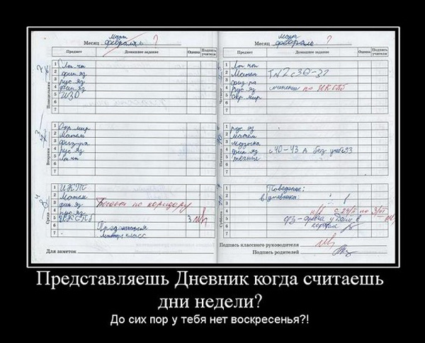 ТОП лучших демотиваторов
