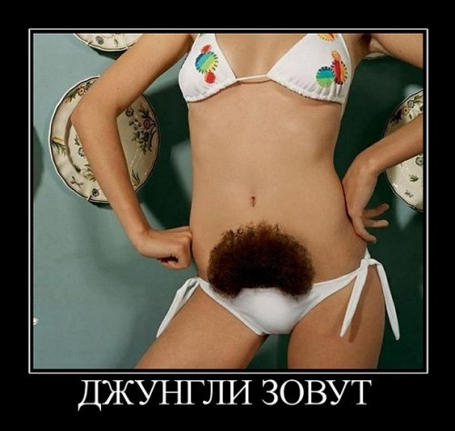 Пятничные демотиваторы