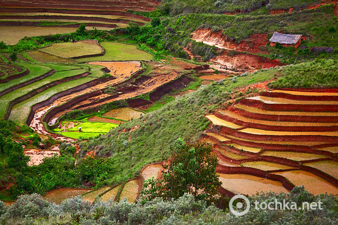 Мадагаскар
