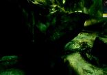 Neelix -7522-2014- Test at a safe recovery from the global protection