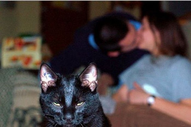 Приколы с поцелуями