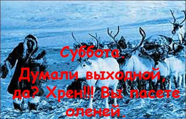 Работа после выходных..