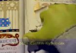 В траве сидел кузнечик 