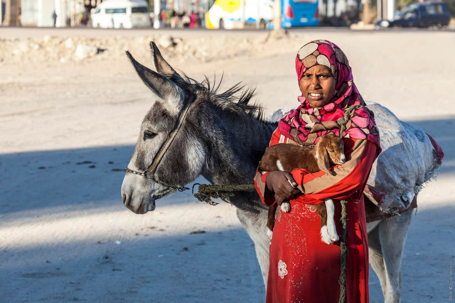 Єгипет, пустеля