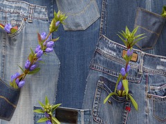 Одежда из денима