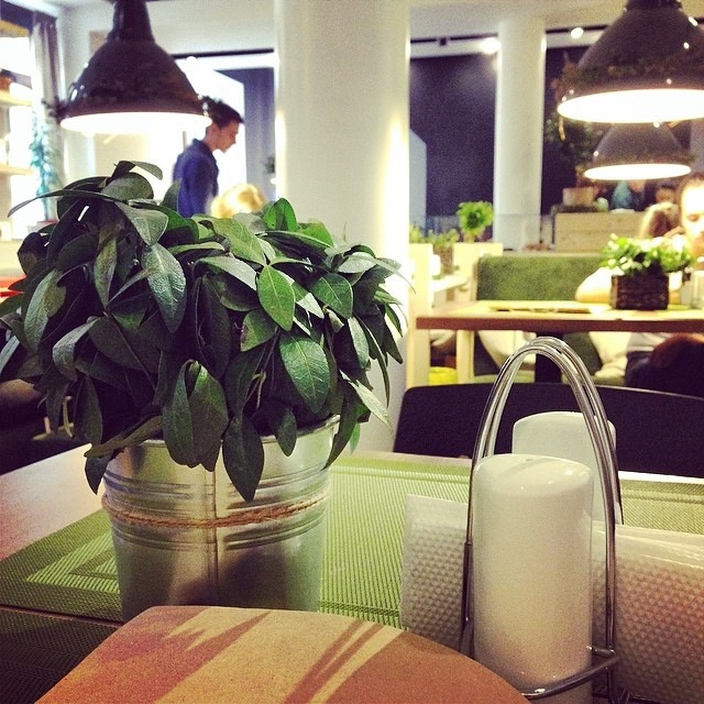 Рестораны Львова: Green