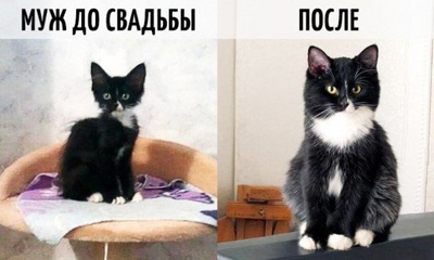 Жизнь до и после свадьбы