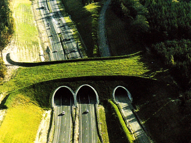Мосты для животных: Голландия