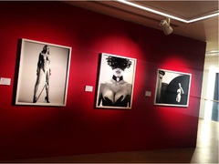 Аукцион Phillips