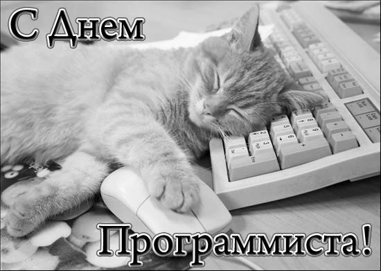 Открытка няшному программисту
