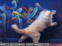 Листівка для художника